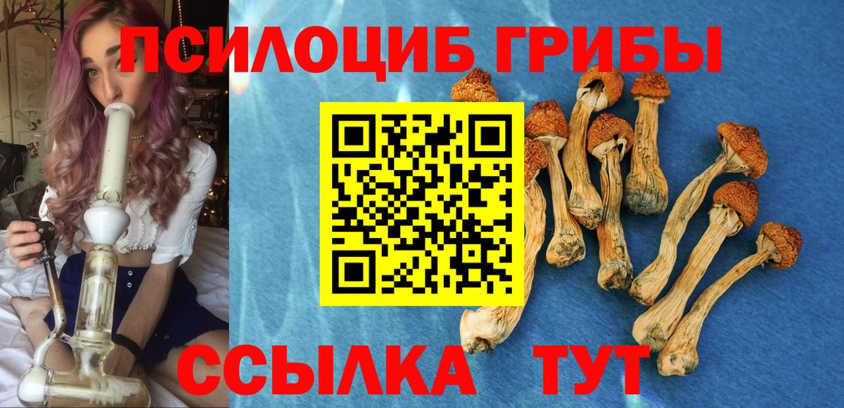 Псилоцибиновые грибы Magic Shrooms  наркота  Ейск  Вход с VPN 