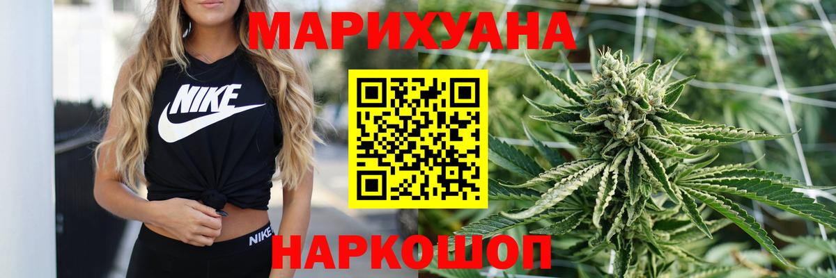 Бошки Шишки планчик Ейск